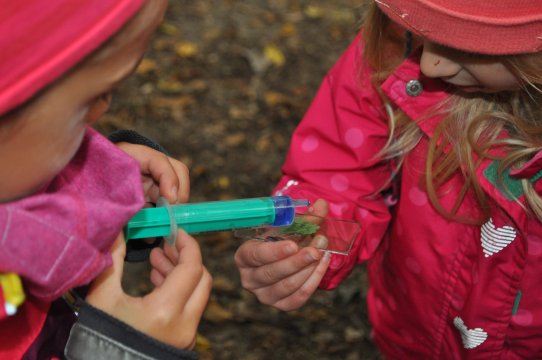 Ekspresja badawcza: Jak w lesie przygotować preparat do badań mikroskopem