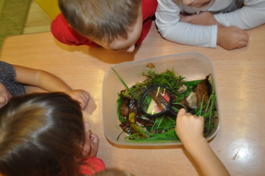 Ślimaki pod lupą...